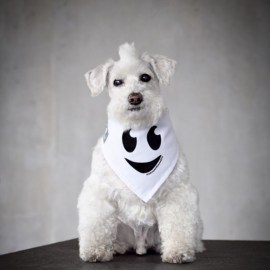 pañoleta mascota2